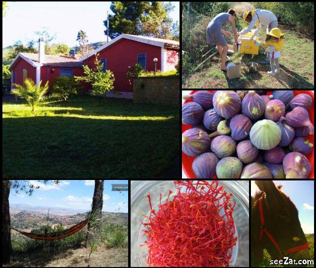AgroCultura e ArcheNatura nel Cuore Verde della Sicilia